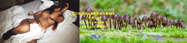 гашишное масло Верея