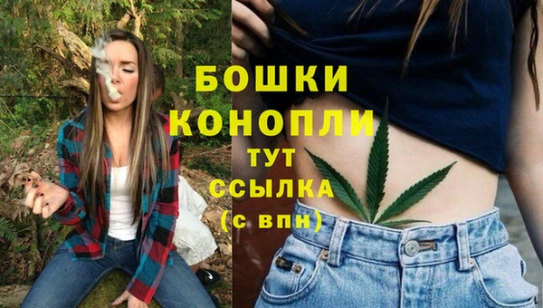 круглые Богородицк